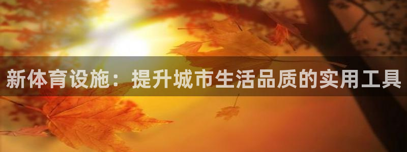 意昂体育4平台是正规平台吗安全吗：新体育设施：提升城