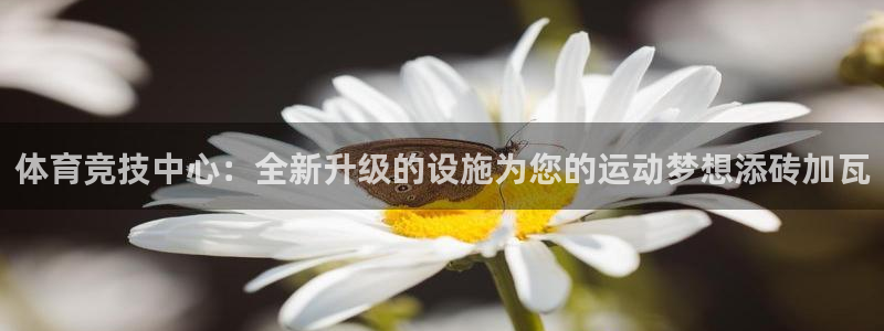 意昂4娱乐40996：体育竞技中心：全新升级的设施为
