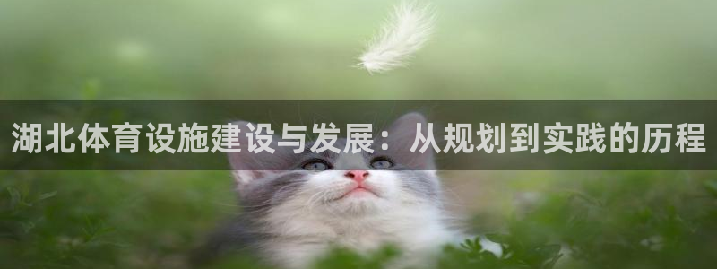 意昂体育4平台假的吗是真的吗吗：湖北体育设施建设与发