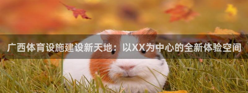意昂体育4招商电话地址查询：广西体育设施建设新天地：