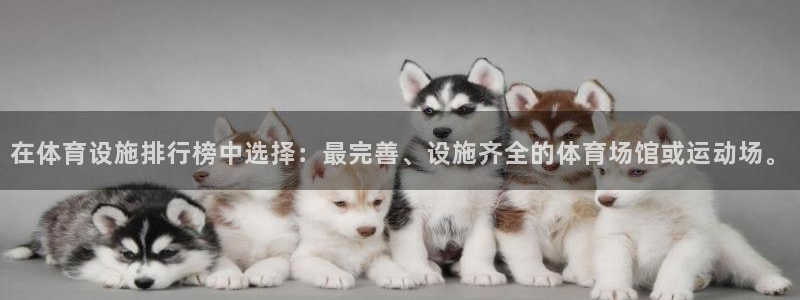 意昂体育4招商：在体育设施排行榜中选择：最完善、设施