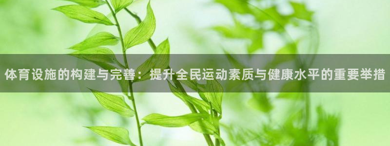 意昂体育4平台是正规平台吗：体育设施的构建与完善：提