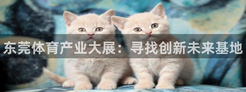 意昂体育4招商电话地址查询：东莞体育产业大展：寻找创