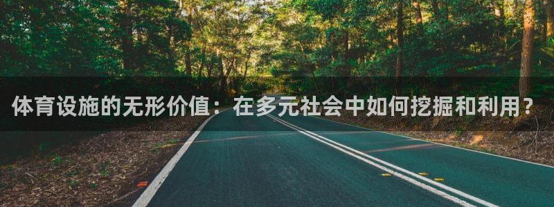 意昂4新能源：体育设施的无形价值：在多元社会中如何挖
