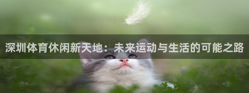 意昂4集团logo：深圳体育休闲新天地：未来运动与生活的可能