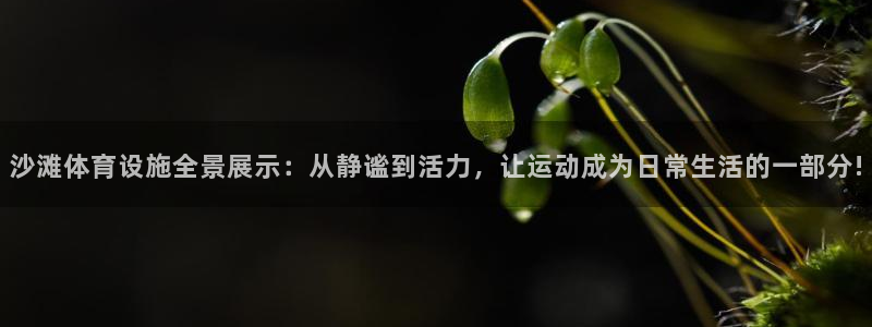 意昂4娱乐首页官网下载：沙滩体育设施全景展示：从静谧到活力，