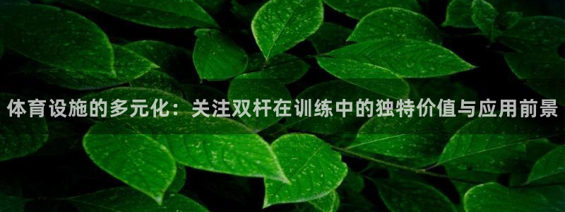 意昂体育4招商电话地址：体育设施的多元化：关注双杆在训练中的