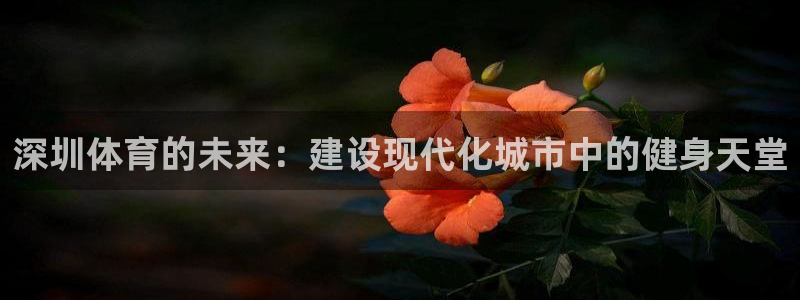 意昂体育4平台注册要钱吗是真的吗：深圳体育的未来：建设现代化