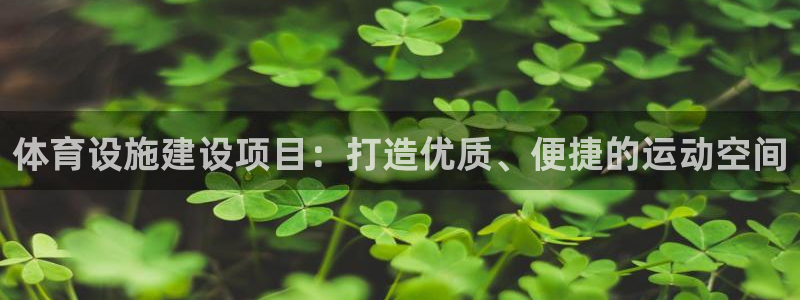 意昂4娱乐下载：体育设施建设项目：打造优质、便捷的运动空间
