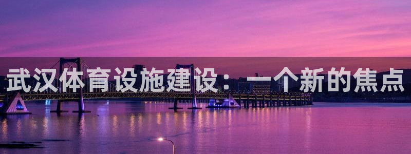 意昂4娱乐平台：武汉体育设施建设：一个新的焦点