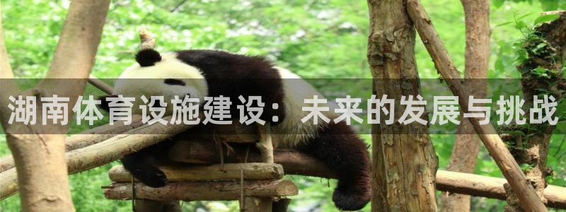 意昂4娱乐平台：湖南体育设施建设：未来的发展与挑战