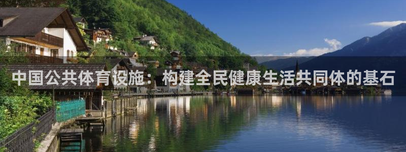 意昂体育4平台假的吗是真的吗吗：中国公共体育设施：构