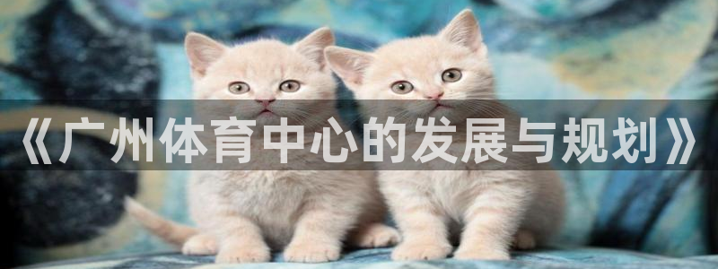 意昂体育4娱乐：《广州体育中心的发展与规划》