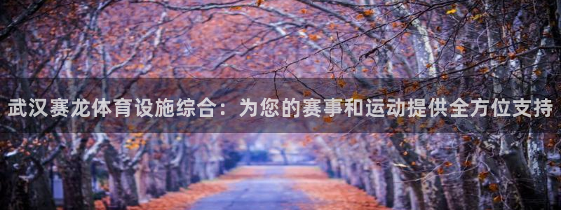 意昂4代理：武汉赛龙体育设施综合：为您的赛事和运动提