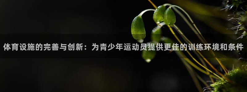 意昂体育4软件：体育设施的完善与创新：为青少年运动员