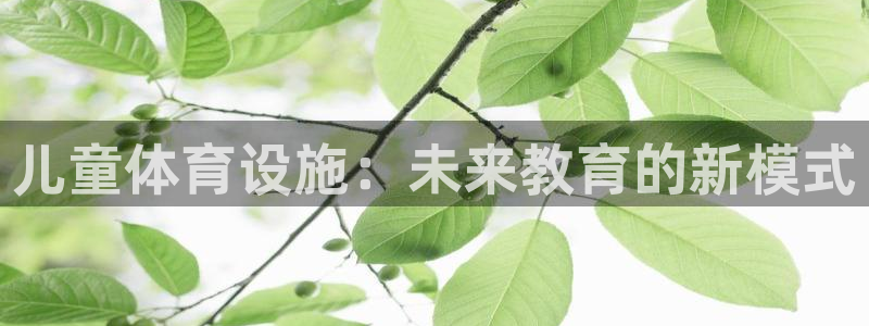 意昂体育4平台注册：儿童体育设施：未来教育的新模式