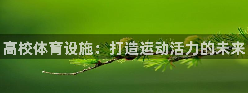 意昂平台体育：高校体育设施：打造运动活力的未来