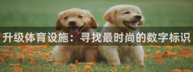 意昂4官方：升级体育设施：寻找最时尚的数字标识
