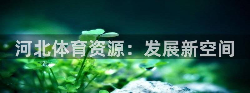意昂体育4开户：河北体育资源：发展新空间