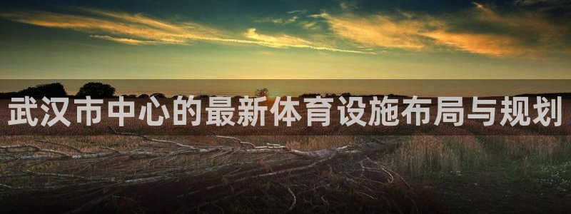 意昂体育4招商电话号码查询是多少：武汉市中心的最新体
