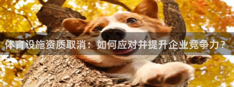 意昂4官方：体育设施资质取消：如何应对并提升企业竞争