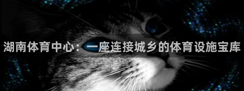 意昂4官方：湖南体育中心：一座连接城乡的体育设施宝库