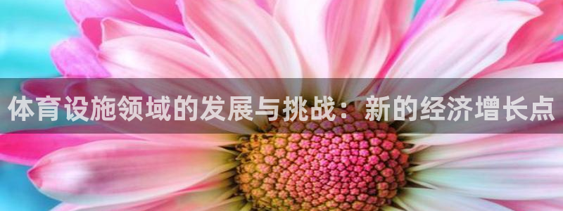 意昂4娱乐代理怎么样：体育设施领域的发展与挑战：新的
