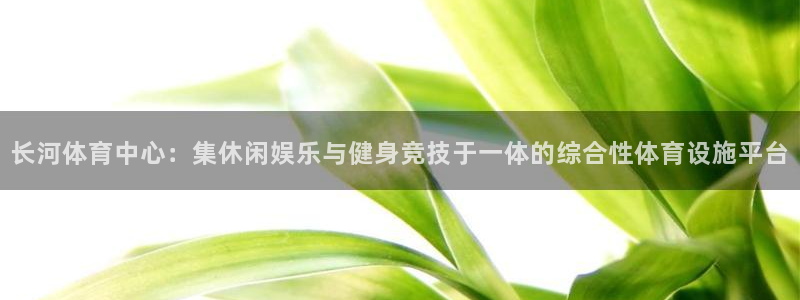 意昂集团官网：长河体育中心：集休闲娱乐与健身竞技于一体的综合