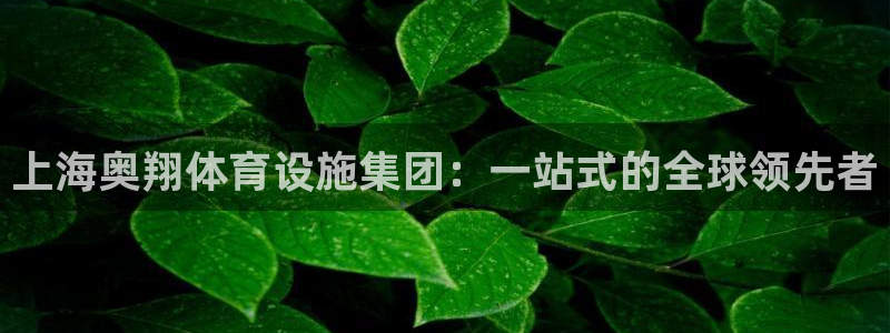 意昂体育4平台注册要钱吗：上海奥翔体育设施集团：一站