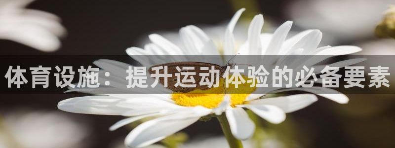 海南意昂体育4：体育设施：提升运动体验的必备要素