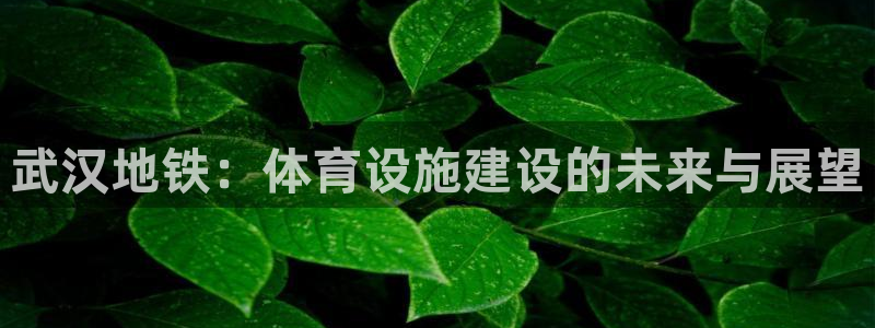 意昂4集团E.ON：武汉地铁：体育设施建设的未来与展