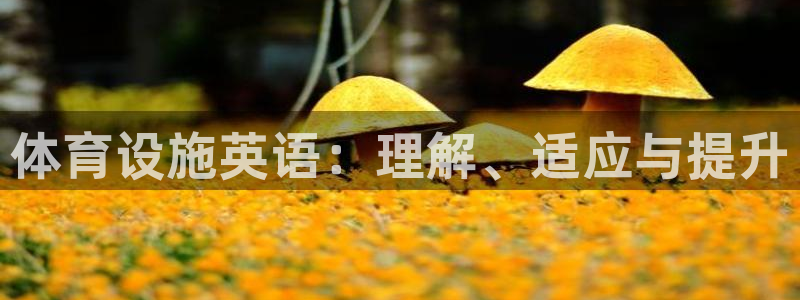 意昂4集团：体育设施英语：理解、适应与提升