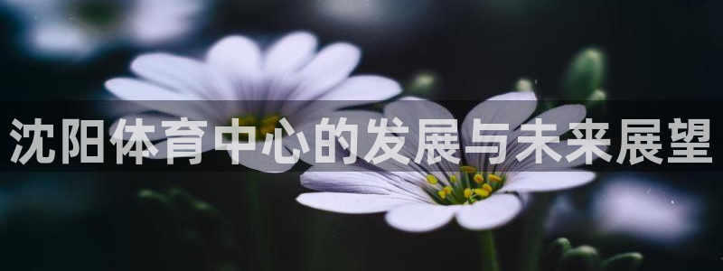 意昂4娱乐首页官网下载：沈阳体育中心的发展与未来展望