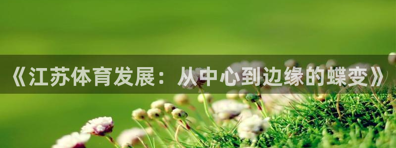 意昂4五金厂：《江苏体育发展：从中心到边缘的蝶变》