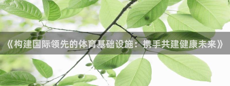 意昂体育4招商电话号码是多少啊：《构建国际领先的体育基础设施