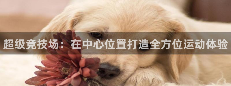 意昂体育4招商电话号码查询是多少：超级竞技场：在中心位置打造