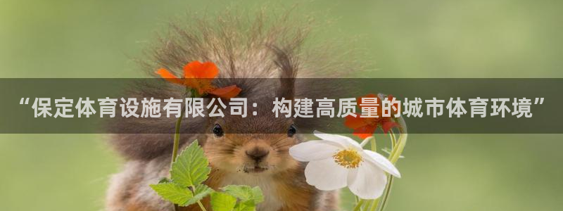 意昂体育4平台假的吗是真的吗：“保定体育设施有限公司