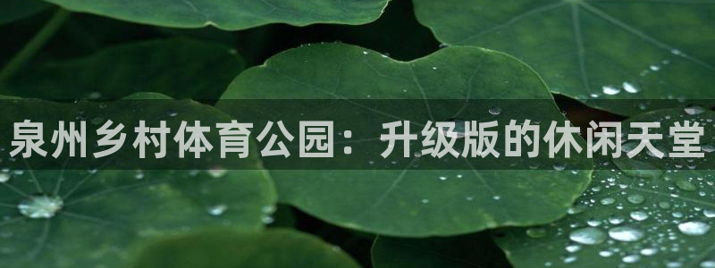 意昂体育4是干嘛的公司：泉州乡村体育公园：升级版的休闲天堂
