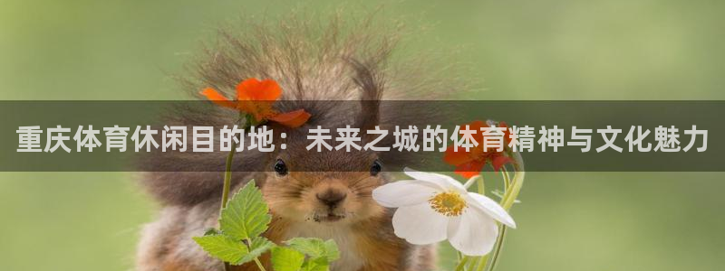 意昂集团官网：重庆体育休闲目的地：未来之城的体育精神与文化魅 