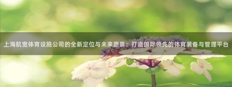 意昂体育4平台假的吗是真的吗：上海航宽体育设施公司的