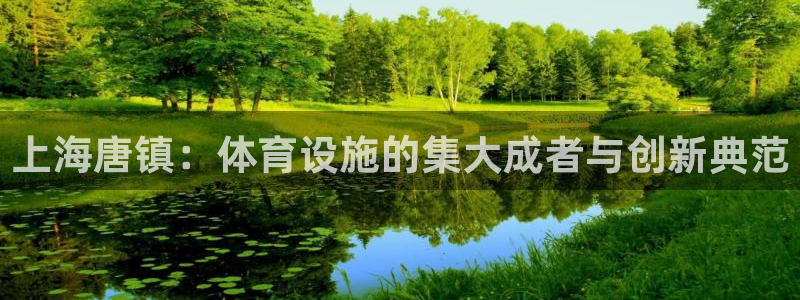 意昂体育4招商电话是多少啊：上海唐镇：体育设施的集大成者与创