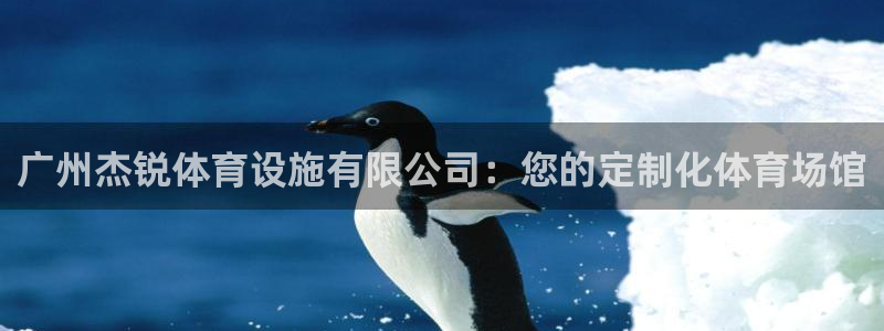 意昂4科技：广州杰锐体育设施有限公司：您的定制化体育