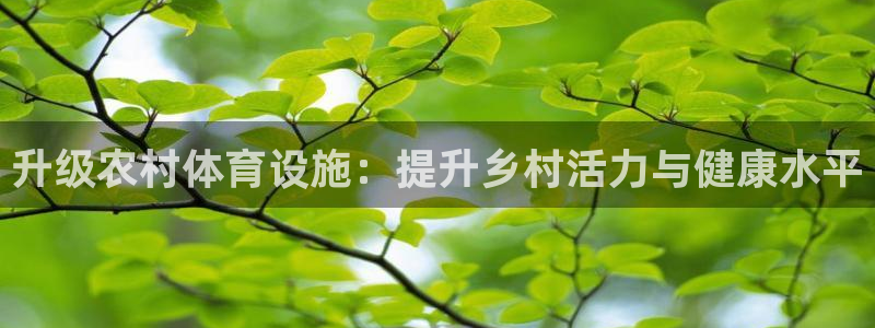 意昂4集团简介：升级农村体育设施：提升乡村活力与健康