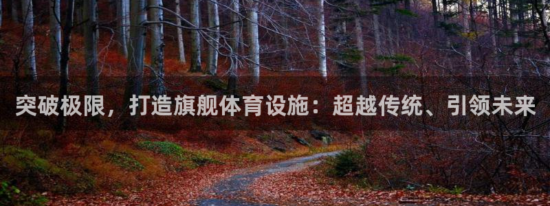 意昂体育4平台是正规平台吗安全吗：突破极限，打造旗舰