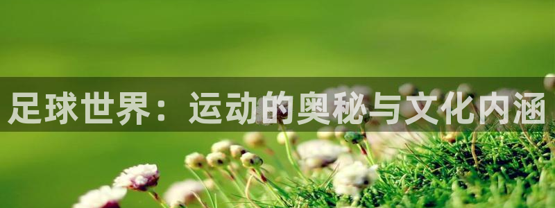 意昂体育4招商电话号码查询：足球世界：运动的奥秘与文