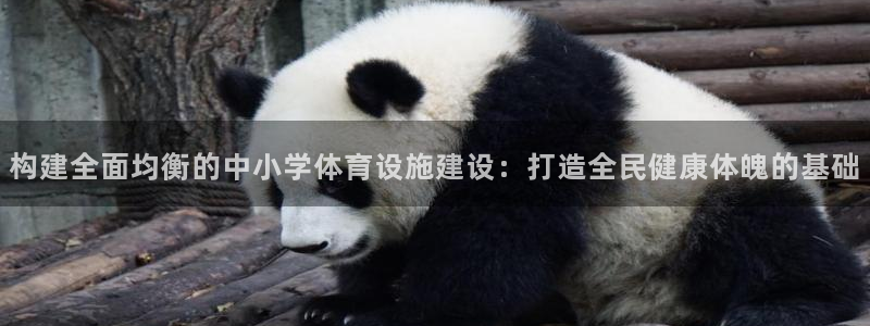意昂体育4平台注册要钱吗：构建全面均衡的中小学体育设
