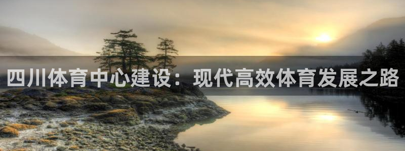 意昂4代理：四川体育中心建设：现代高效体育发展之路