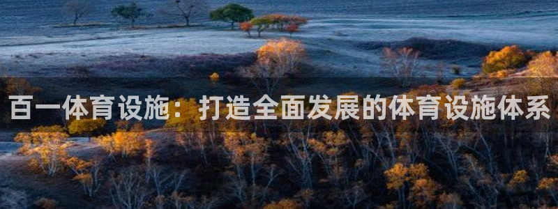 意昂4开户：百一体育设施：打造全面发展的体育设施体系