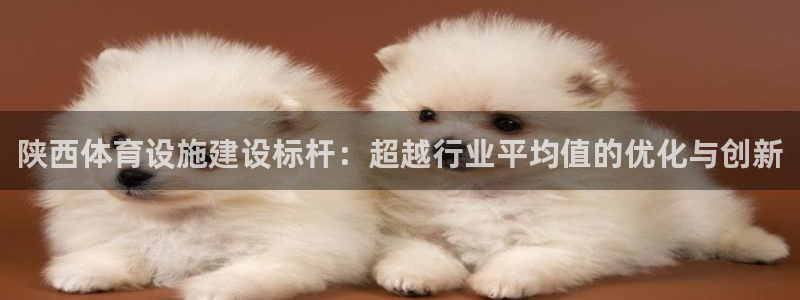 意昂4集团简介：陕西体育设施建设标杆：超越行业平均值的优化与 