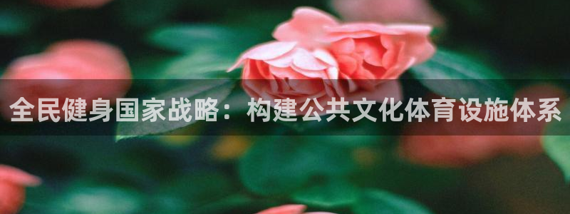 意昂体育4官方客服电话：全民健身国家战略：构建公共文化体育设 
